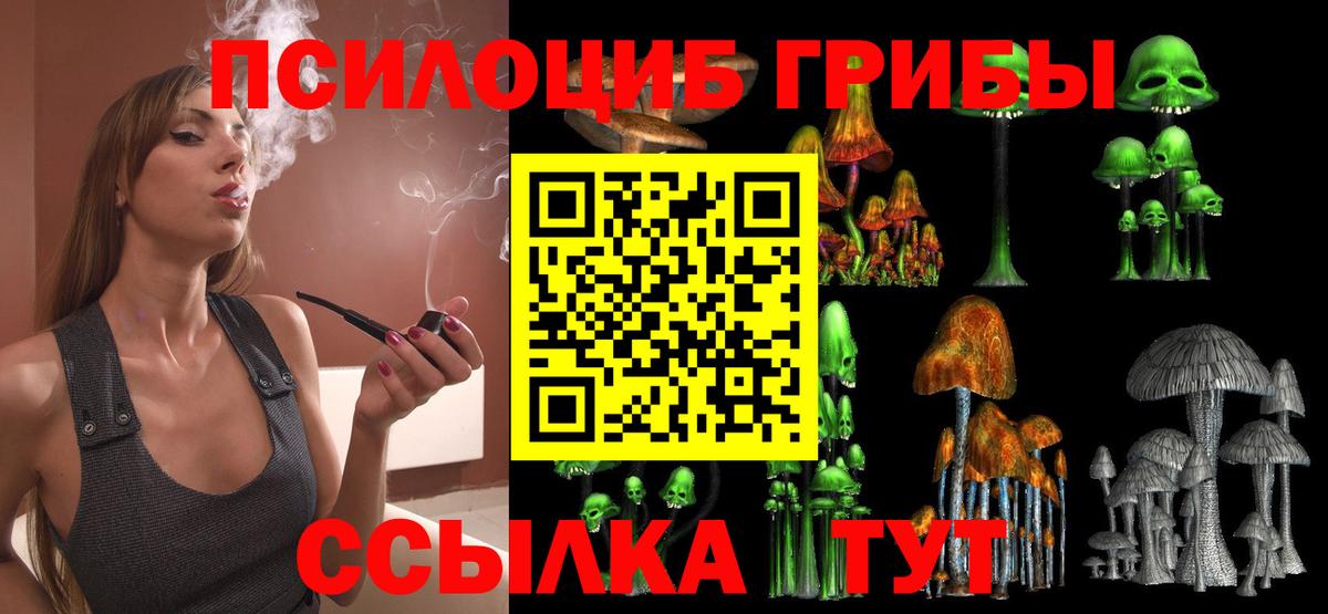 купить закладку  Вход с VPN  Жигулёвск  Псилоцибиновые грибы ЛСД 